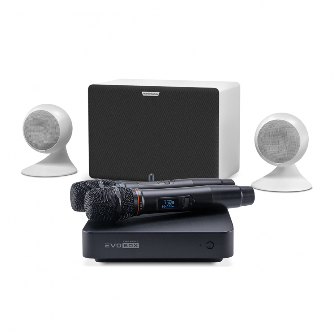 караоке-комплект EVOBOX Classic + EvoSound Sphere 2.1 в Майкопе