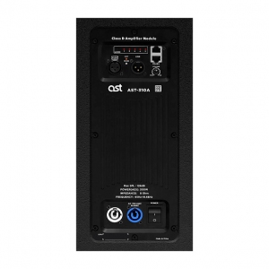 Активная акустическая система AST-310A в Майкопе